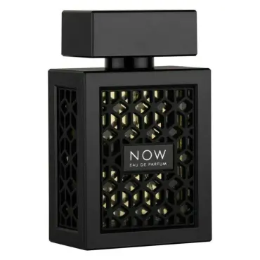 Ανδρικό άρωμα Rave Now EDP 100 ml.